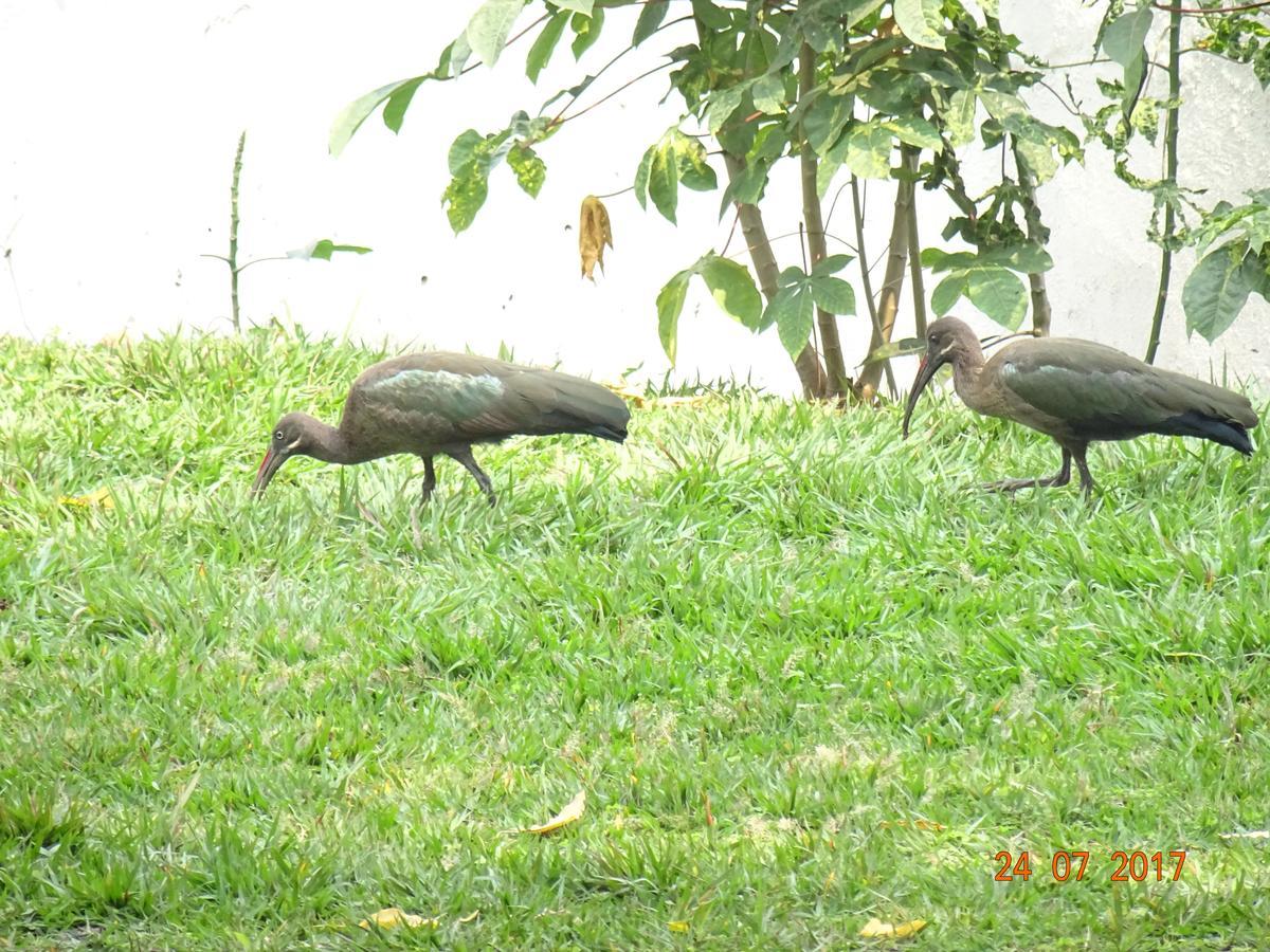 Kivu Beach Garden Gisenyi Extérieur photo